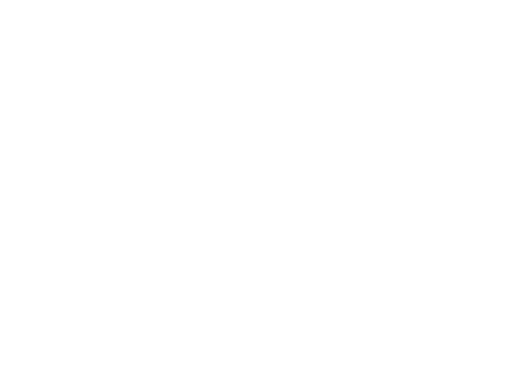 VDU Production Agency